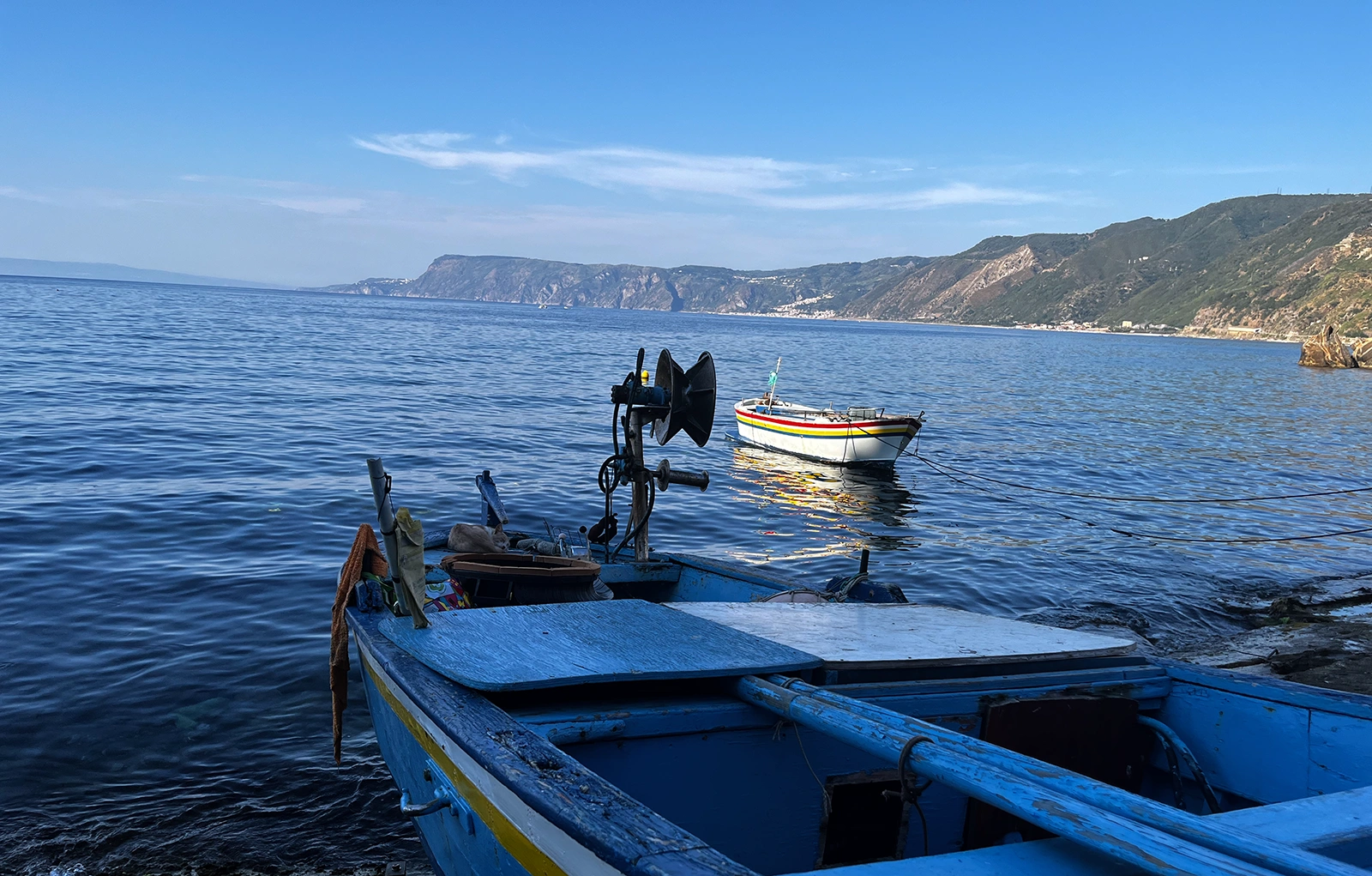 Scilla